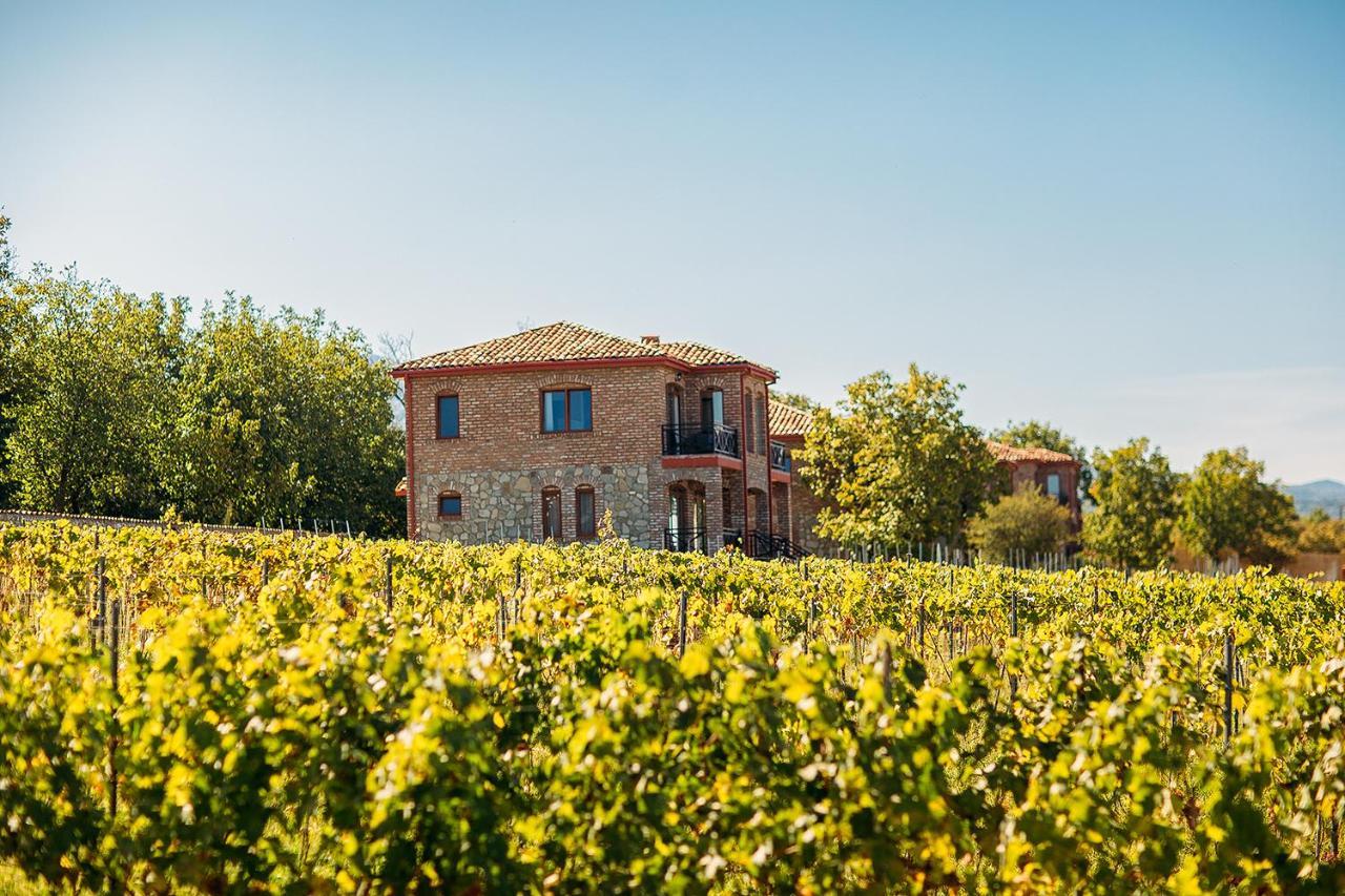 Schuchmann Wines Château,Villas&SPA Telavi Extérieur photo