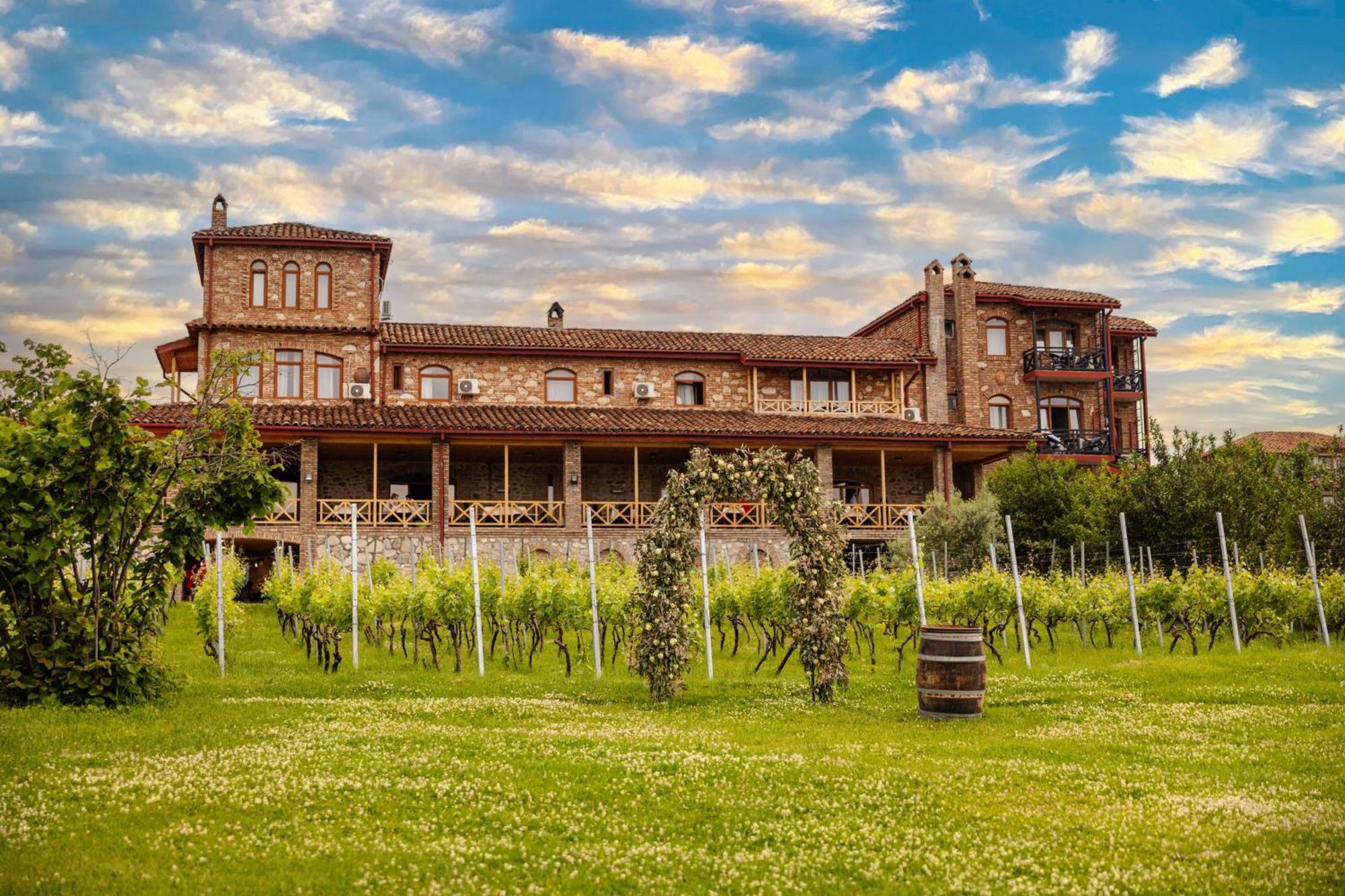 Schuchmann Wines Château,Villas&SPA Telavi Extérieur photo